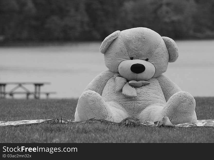 Bear sitting on meadow