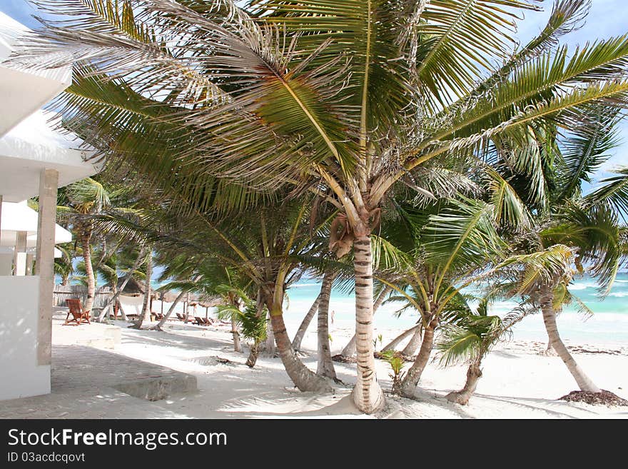 The Beach in Tulum - Mexico, South of Cancun - Luxurious Holiday Resort with Private Villa. The Beach in Tulum - Mexico, South of Cancun - Luxurious Holiday Resort with Private Villa