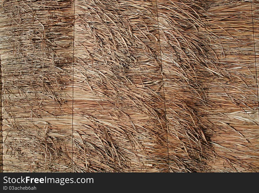 Reed fence made by stubble (cane)