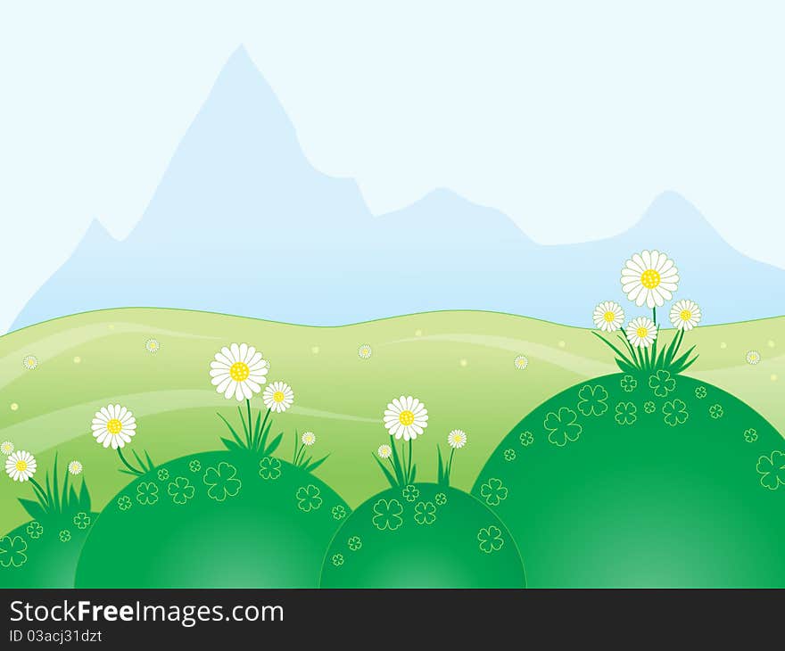 Under the green mountain meadow with daisies. Under the green mountain meadow with daisies