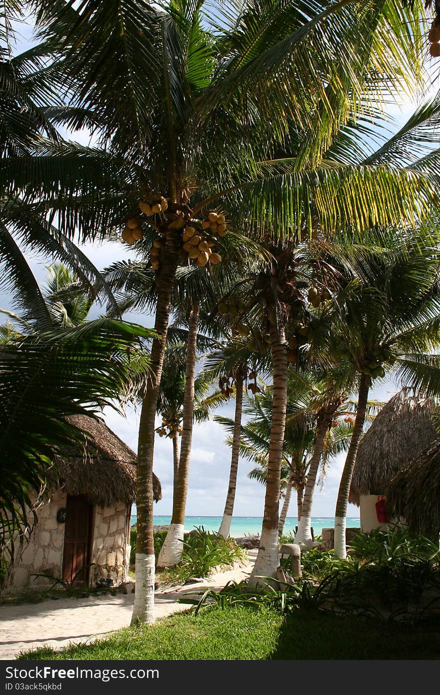 Holiday Resort in Tulum Beach - Mexico