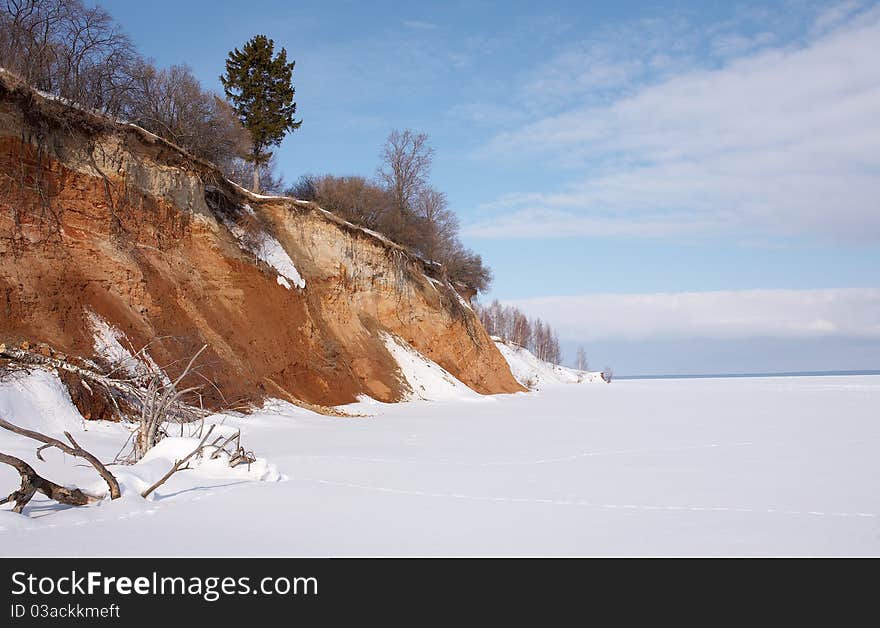 Winter landscape. Lone fir on a steep bank of a frozen river.