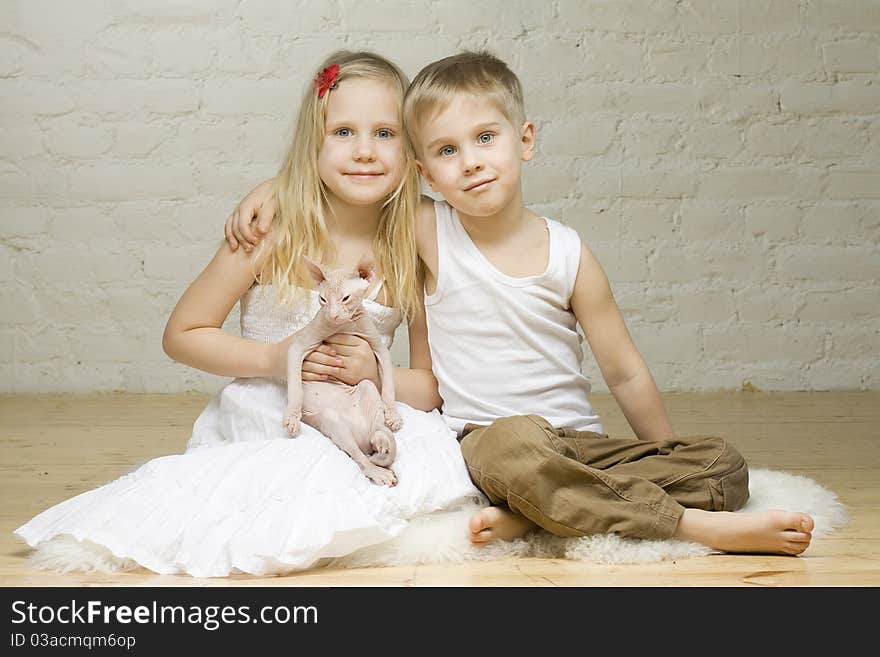 Young smiling couple - little girl and boy - with kitten sphynx. Young smiling couple - little girl and boy - with kitten sphynx