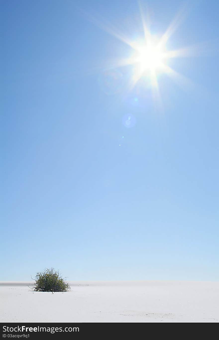 Sun, Dunes And Grass