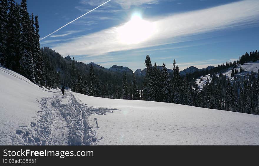 Snowshoeing Paradise