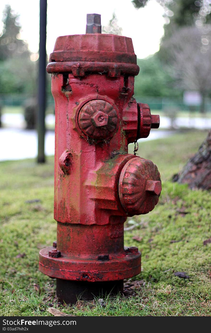 A rust old fire hydrant. A rust old fire hydrant