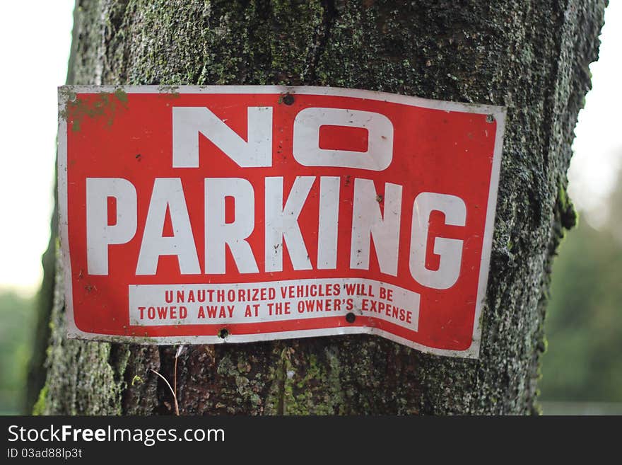 A no parking sign on the side of a tree