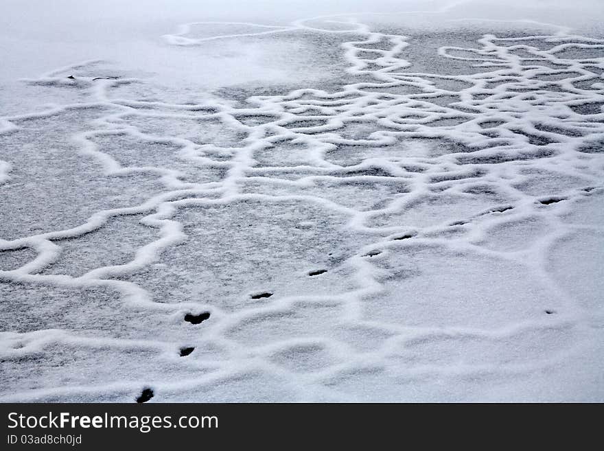 Footsteps And Line Patterns In The Snow Of A Frozen Lake In Southwestern Ohio