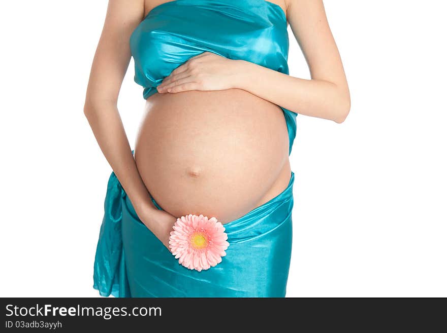 Pregnant tummy on an isolated white background. Pregnant tummy on an isolated white background