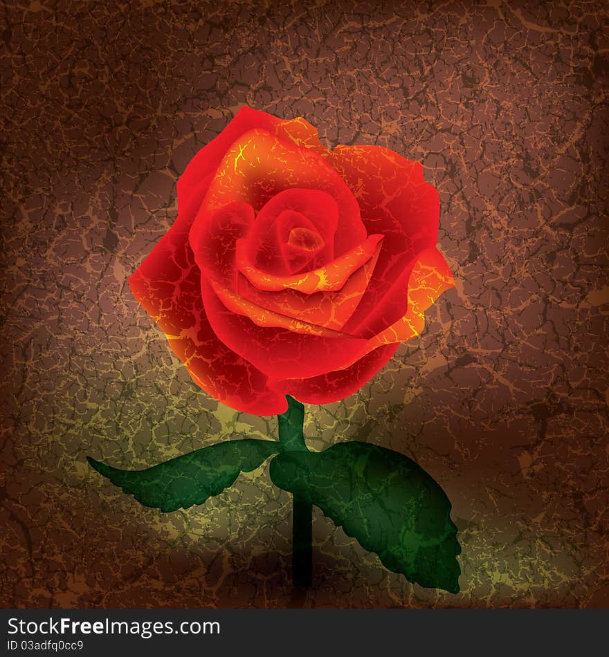 Abstract floral illustration with rose on cracked background