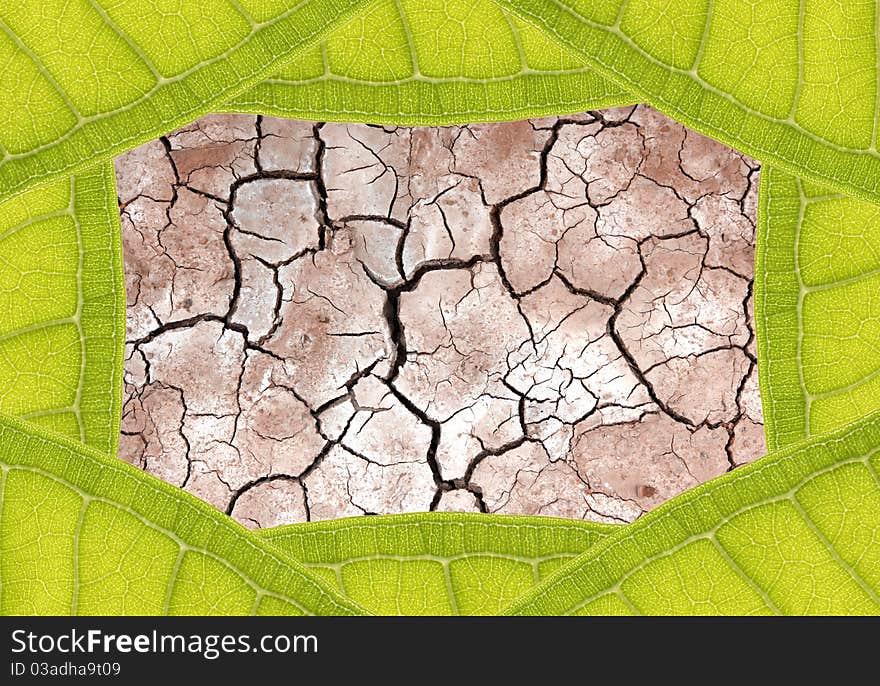 Dry terrain ground in leaf frame. Dry terrain ground in leaf frame