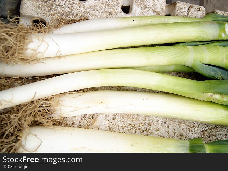 Scallions