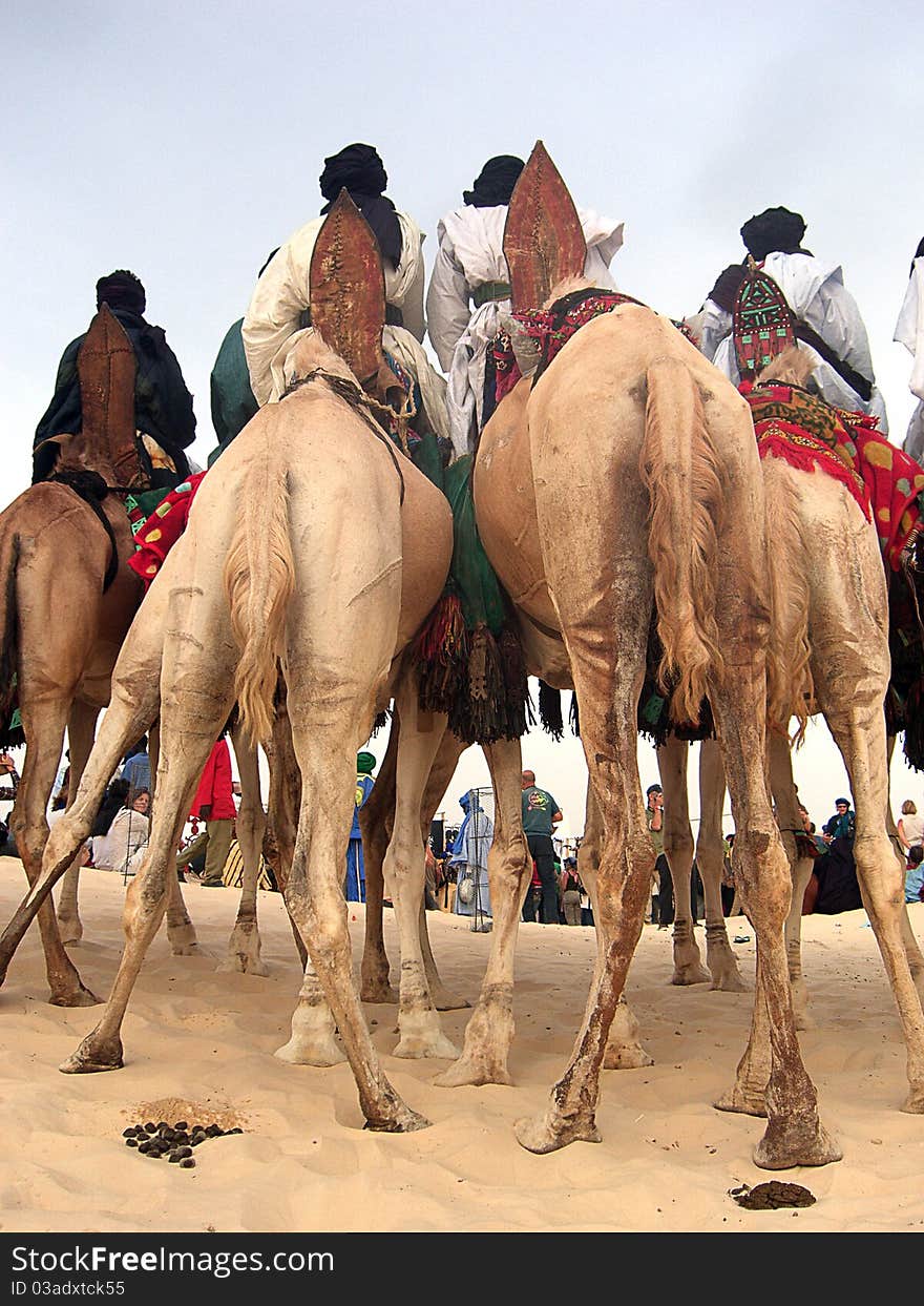 Tuareg nomads on camels watching a desert festival. Tuareg nomads on camels watching a desert festival