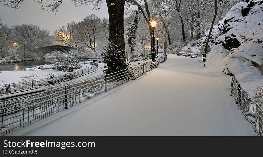 Central Park in snow storm