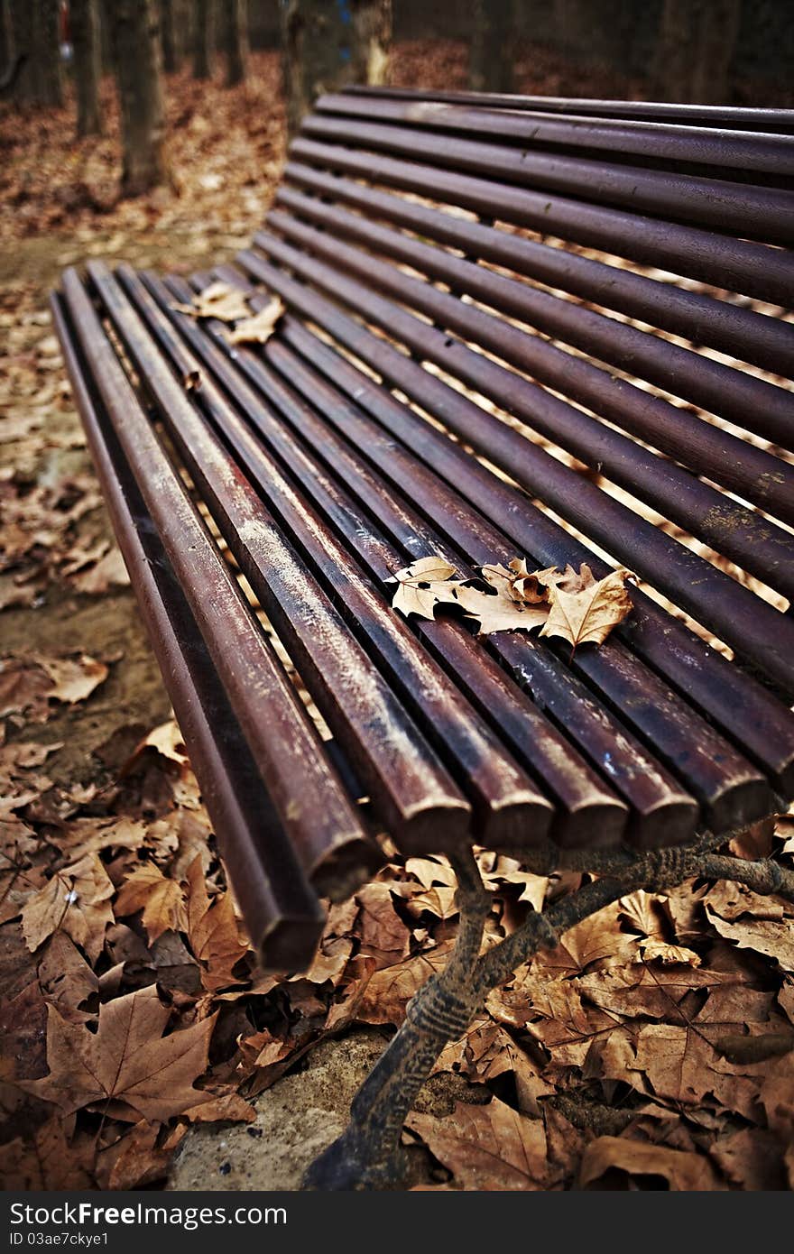 Wood Bench With Autumn Leaves