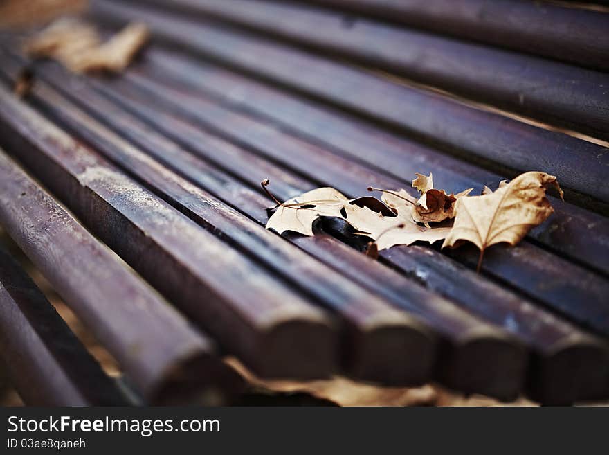 A nice wood bench covered with fallen brown autumn leaves on a cold winter day. A nice wood bench covered with fallen brown autumn leaves on a cold winter day.