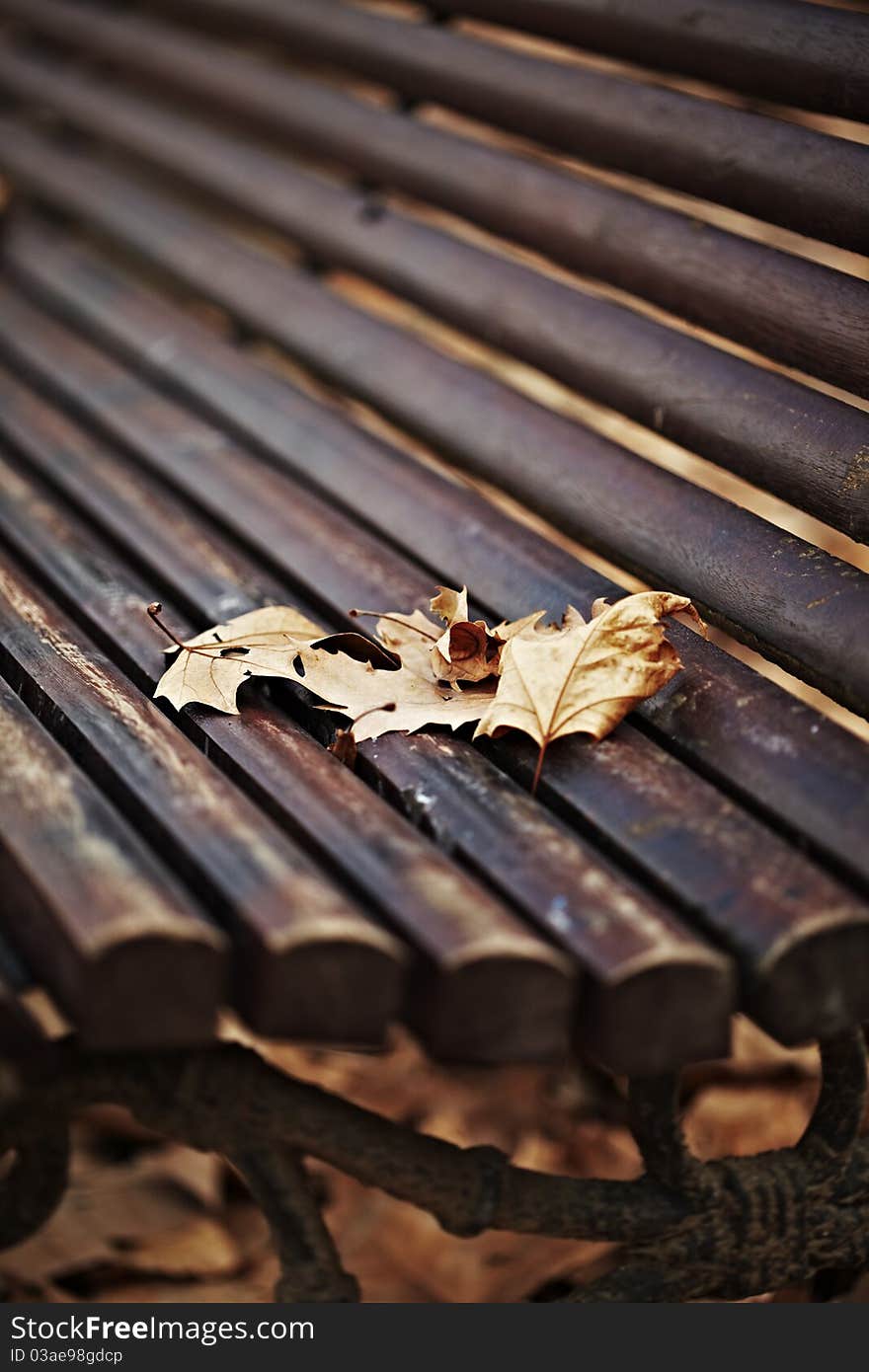 A nice wood bench covered with fallen brown autumn leaves on a cold winter day. A nice wood bench covered with fallen brown autumn leaves on a cold winter day.