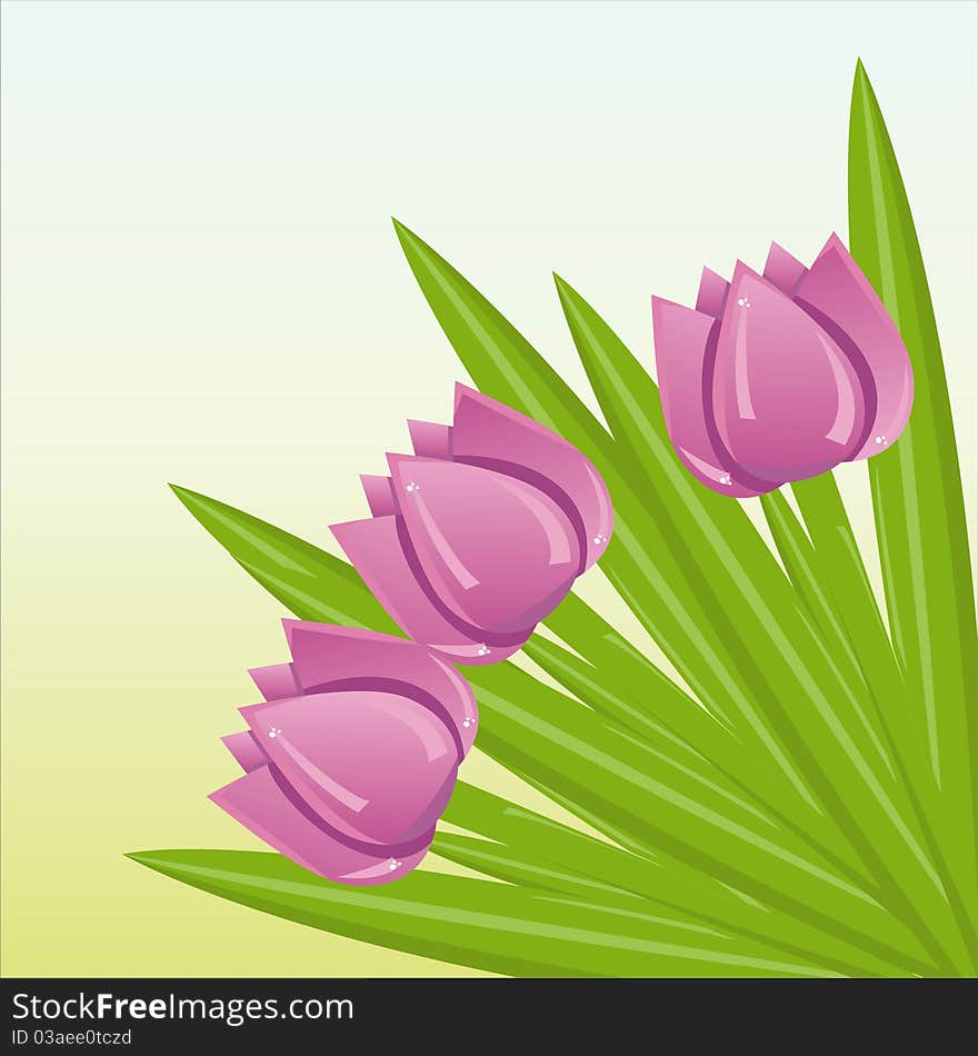 Background with purple bunch of tulips