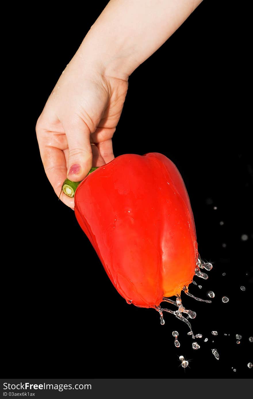 Red pepper in a female hand with a spray of water, isolated on black background