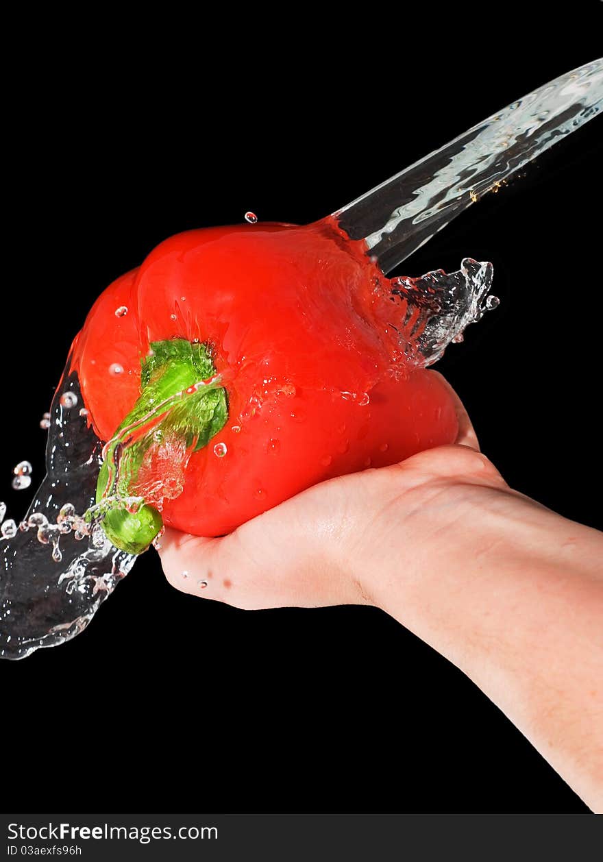 Red pepper in a female hand with a spray of water, isolated on black background