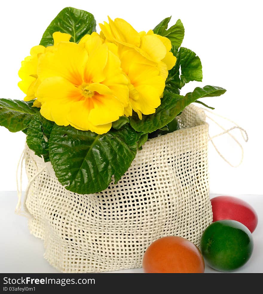 Flower and colored easter eggs. Flower and colored easter eggs