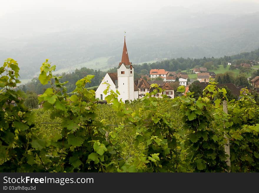 Vineyard and church