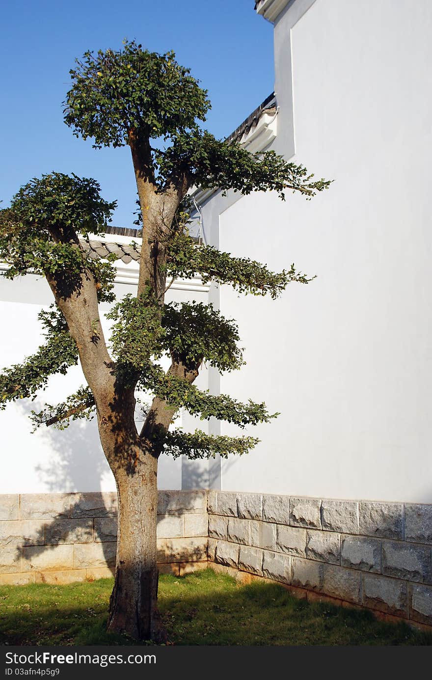 Walls And Roofs