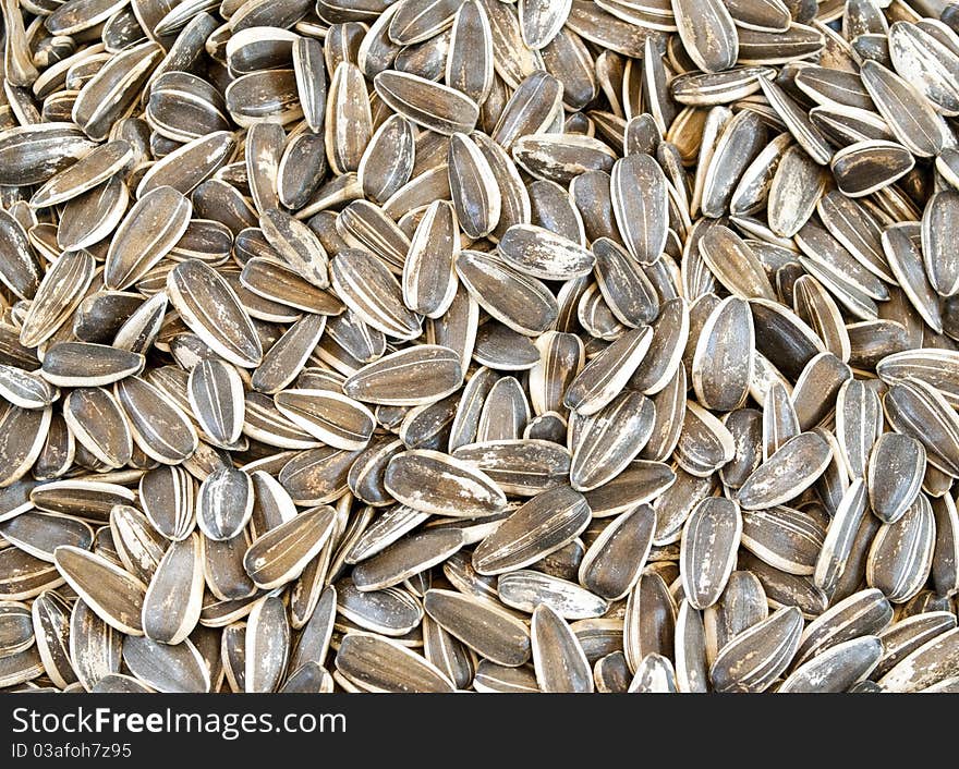 Sunflower seeds