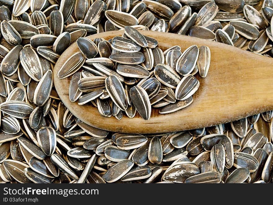 Sunflower seeds