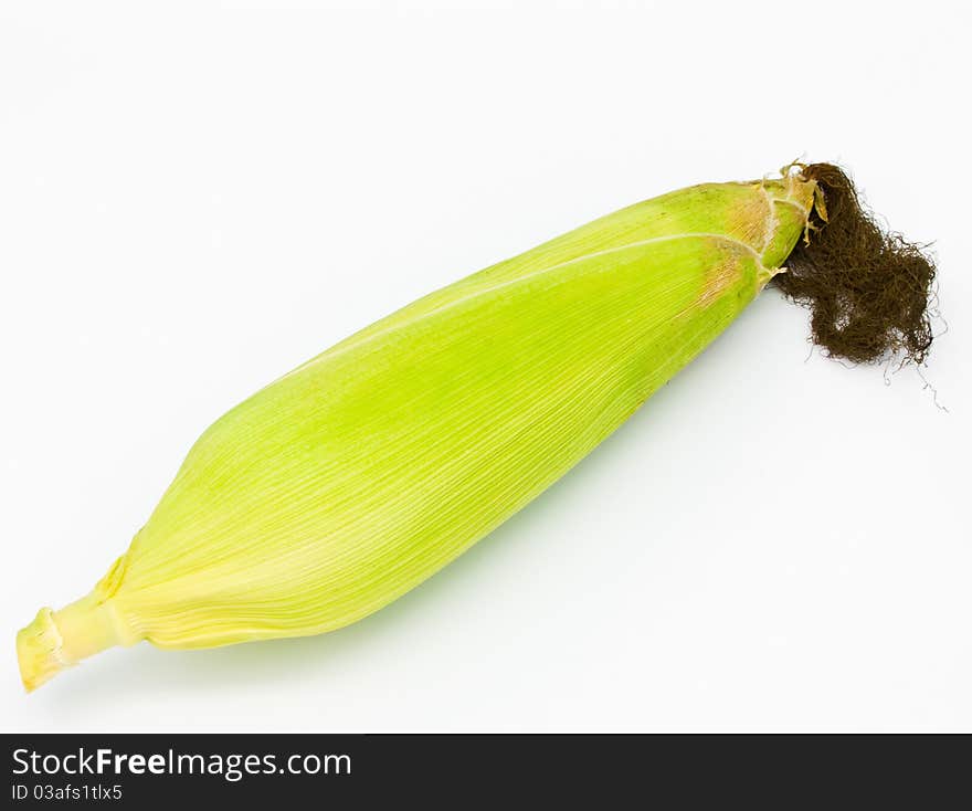 Fresh corn on white background