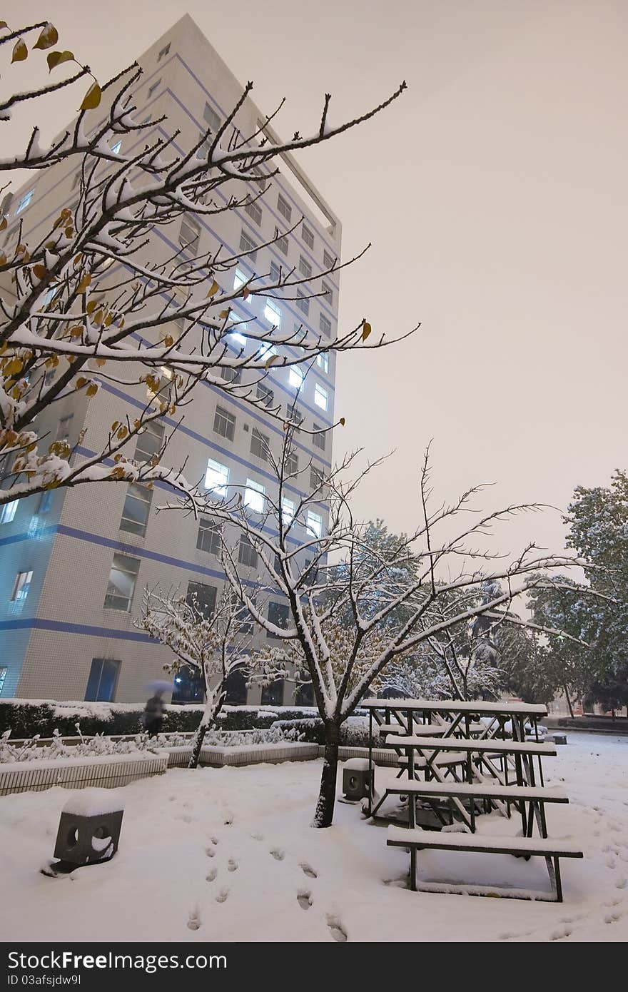 A plaza of university covered by snow. A plaza of university covered by snow.