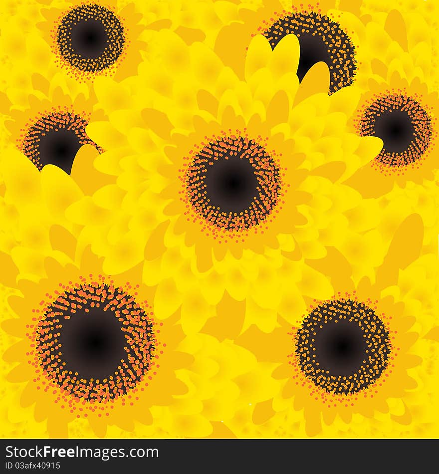 Close-up Of Daisy, Vector Illustration. Close-up Of Daisy, Vector Illustration