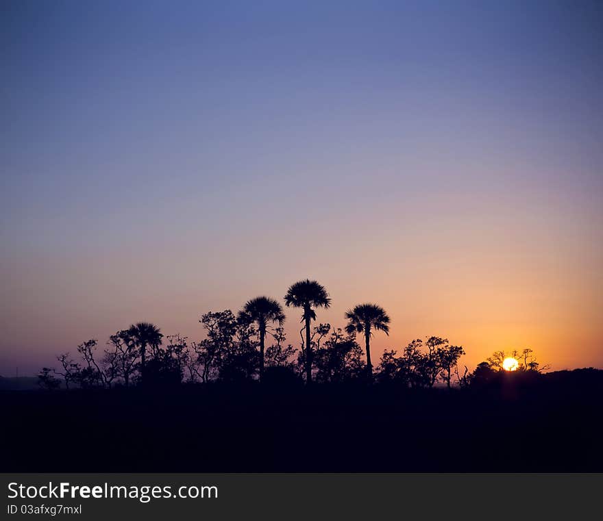 Island Of Palm Trees Silhouette At Sunset