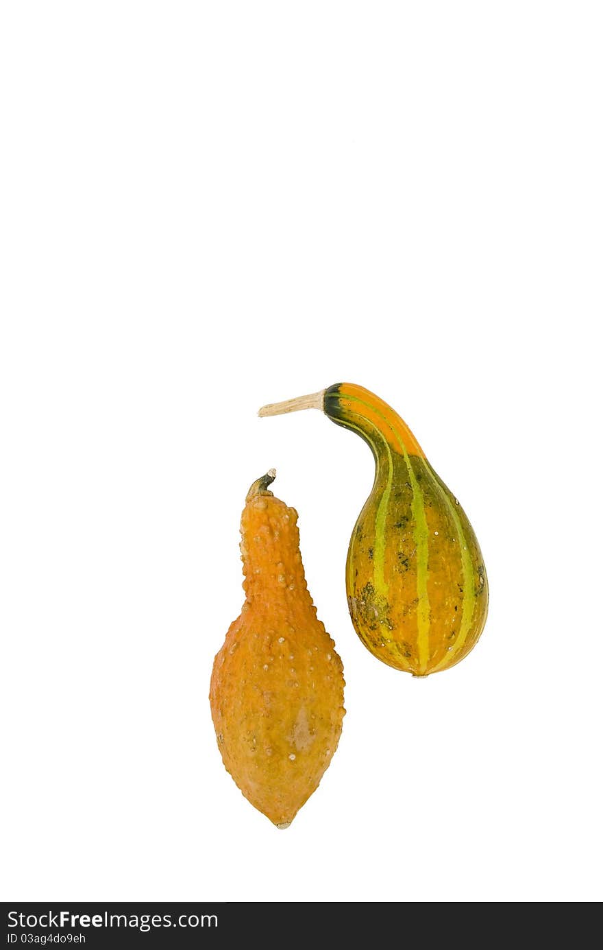 Two mottled ornamental pumpkins isolated on a white background. Two mottled ornamental pumpkins isolated on a white background