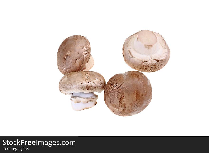 Biological mushrooms product on plain on white background