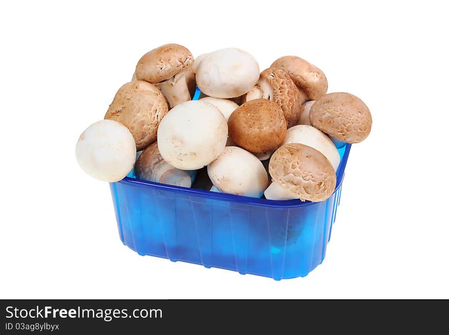 Biological mushrooms product on plain on white background