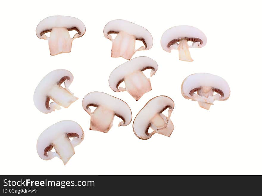 Biological mushrooms product on plain on white background