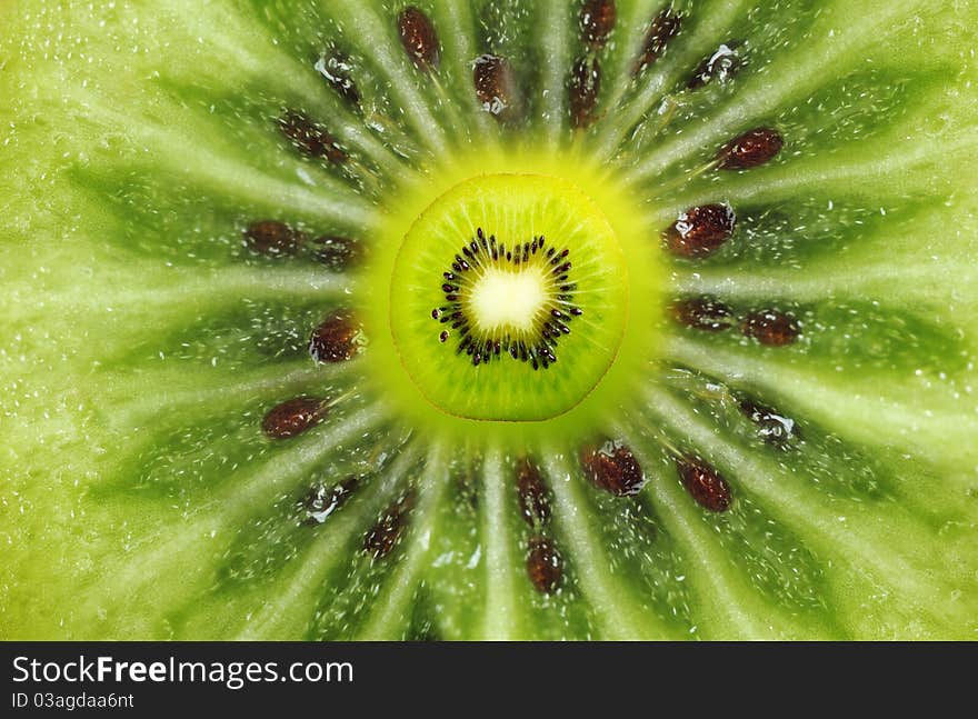 Unique part of fruit of a kiwi against a close up. Unique part of fruit of a kiwi against a close up