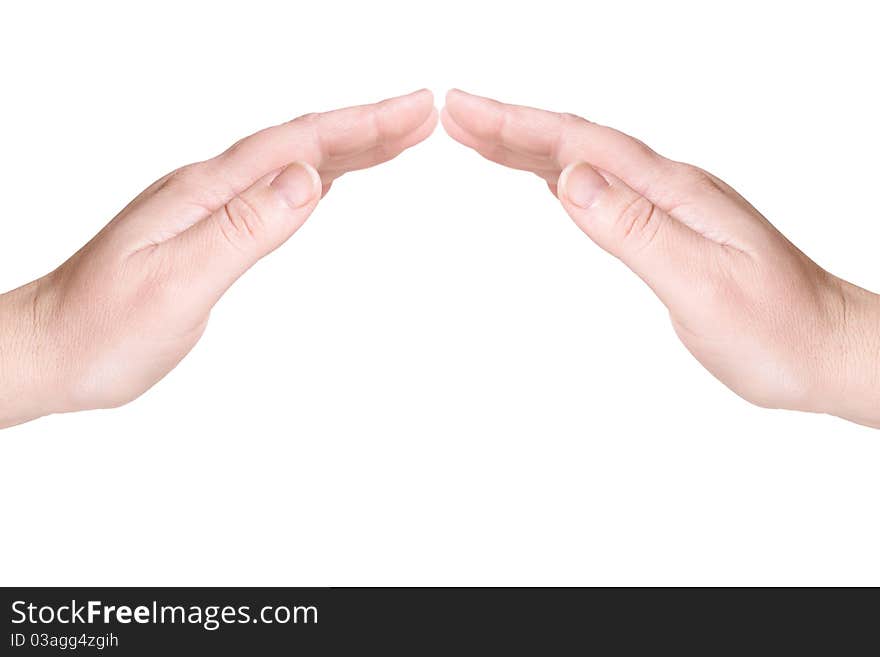 Roof. Two female palms on a white background