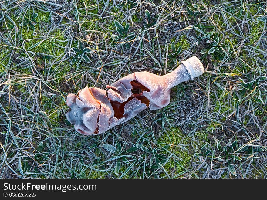 The broken plastic bottle lays on a green grass. All is covered with hoarfrost. The broken plastic bottle lays on a green grass. All is covered with hoarfrost.