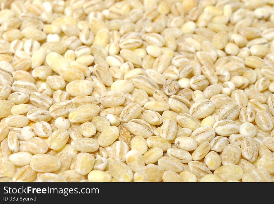 A close-up shot of pearl barley (can be used as a background)