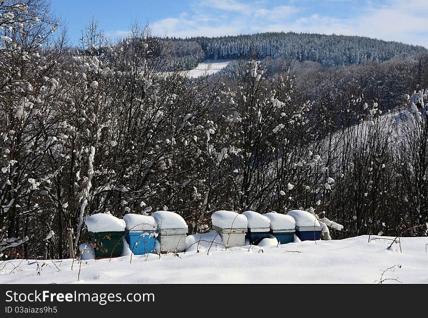 Hive In Winter