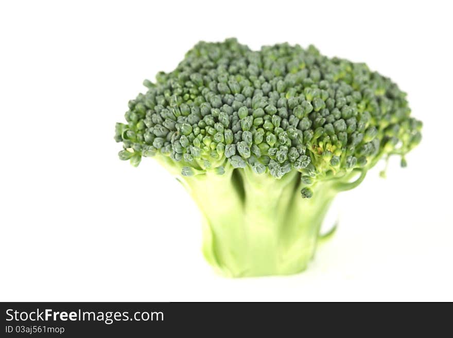 Broccoli On White