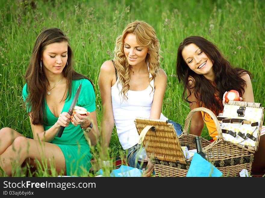 Very fun girlfriends on picnic