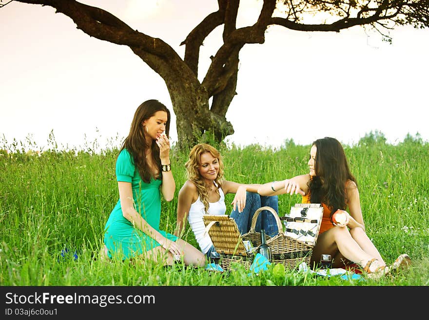 Very fun girlfriends on picnic