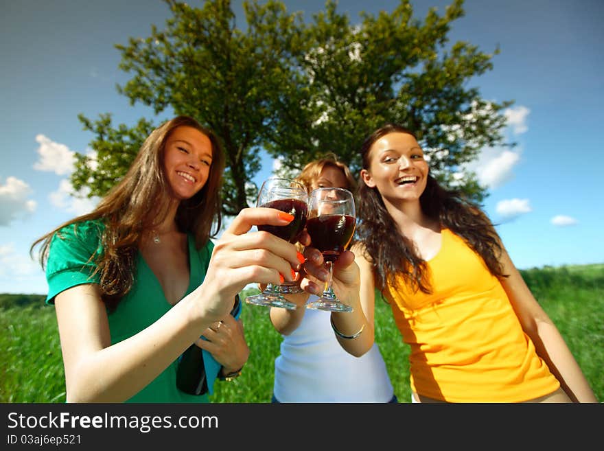 Very fun girlfriends on picnic