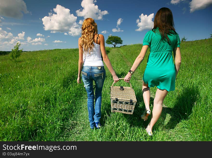 Very fun girlfriends on picnic