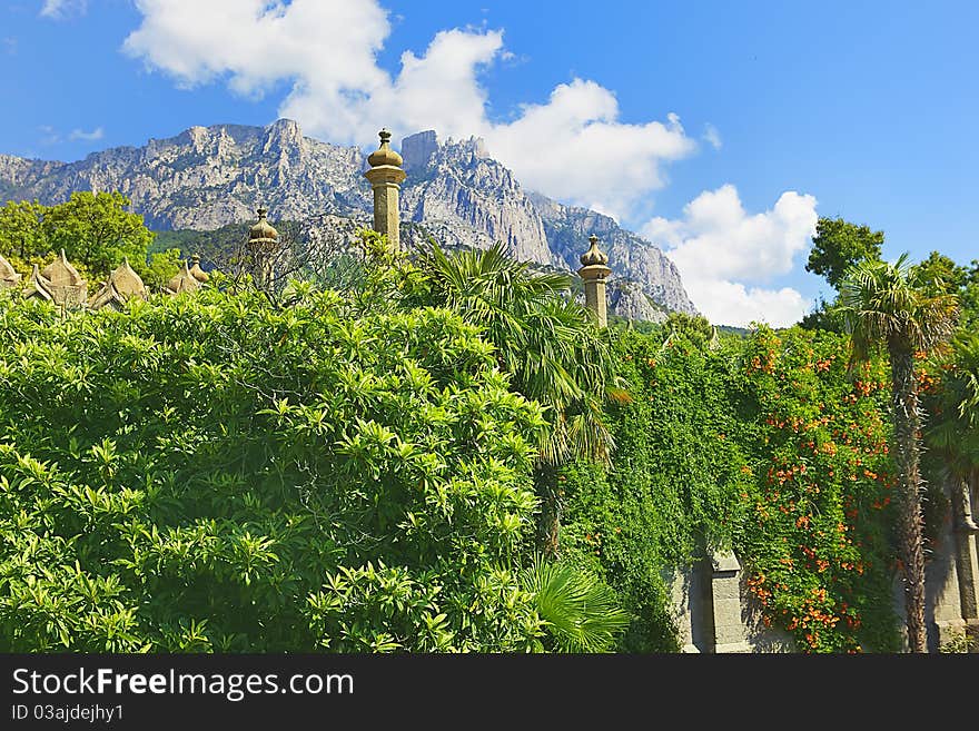 Crimean mountains wood and the beautiful nature