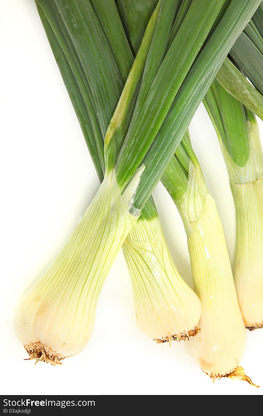 Close up of bunch of large raw spring onions. Close up of bunch of large raw spring onions.