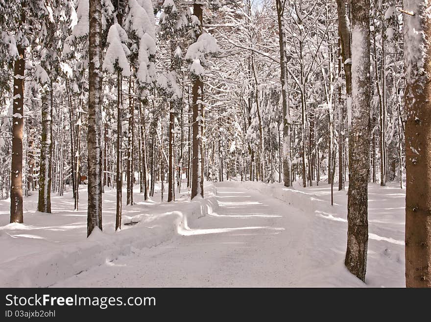 Snowy arctic winter road in the forest. Snowy arctic winter road in the forest